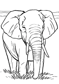 صفحات تلوين فيلة – الصفحة 100