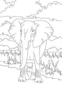 صفحات تلوين فيلة – الصفحة 25