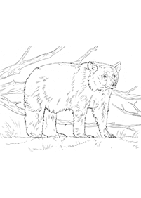 Bears Coloring Pages Index