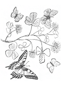 flower coloring pages - page 145