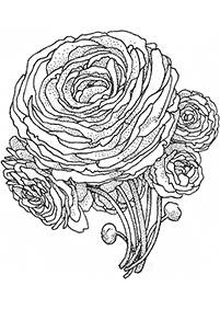 flower coloring pages - page 49