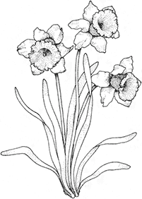 flower coloring pages - page 58