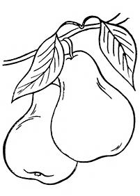 fruit coloring pages - page 11