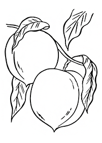 fruit coloring pages - Page 27