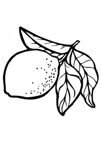 fruit coloring pages - page 37