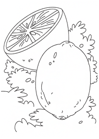 fruit coloring pages - page 40