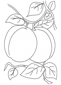 fruit coloring pages - page 41