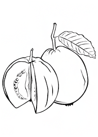 Fruits - Coloring Pages Index