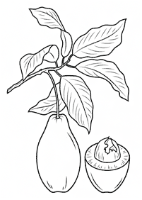 fruit coloring pages - page 96
