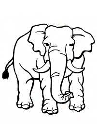 Druckbare Elefanten Malvorlagen