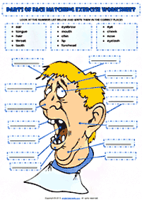 تمارين الإنجليزية - التمرين 54