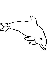 Dolphins Coloring Pages Index