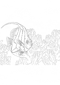 Fish - Printable Coloring Pages