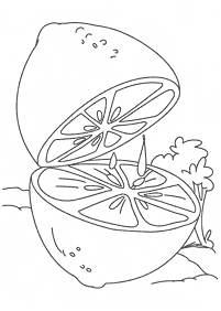 fruit coloring pages - page 39