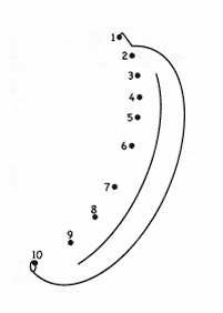 Vorschule Arbeitsblätter - Arbeitsblatt 82