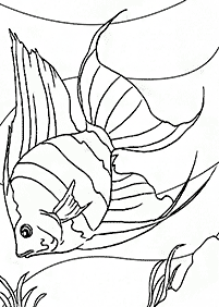 Fisch Malvorlagen - Seite 42
