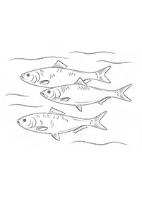 Fisch Malvorlagen - Seite 67