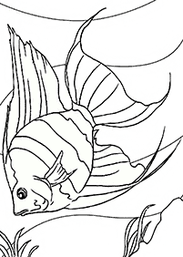 Fisch Malvorlagen - Seite 96