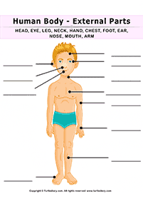 Hojas de actividades para primer grado – hojas de actividad 180