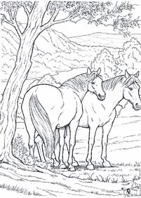 Páginas para colorear de caballos - página 52