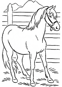 Páginas para colorear de caballos - página 73