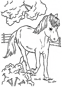 Páginas para colorear de caballos - página 81