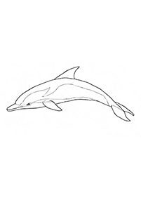 Páginas para colorear de delfines - página 1