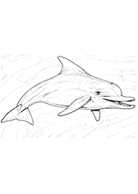 Páginas para colorear de delfines - página 33