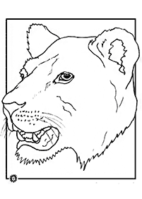 Páginas para colorear de leones - página 32