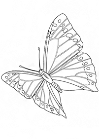 Páginas para colorear de mariposas - página 38
