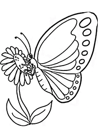 Páginas para colorear de mariposas - página 41