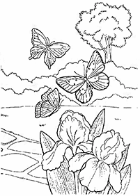 Páginas para colorear de mariposas - página 68