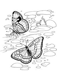 Páginas para colorear de mariposas - página 69