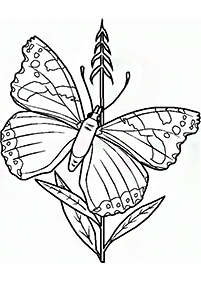 Páginas para colorear de mariposas - página 80