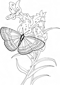 Páginas para colorear de mariposas - página 81