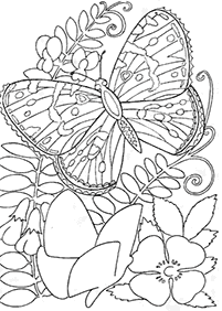 Páginas para colorear de mariposas - página 83
