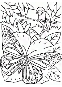 Páginas para colorear de mariposas - página 85