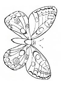 Páginas para colorear de mariposas - página 92