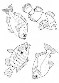 Páginas para colorear de peces - página 99