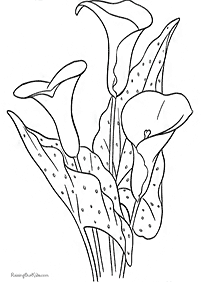 Páginas de flores para colorear– Página 60