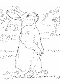 ウサギの塗り絵