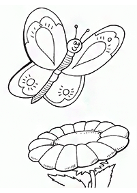 蝶の塗り絵 - 63