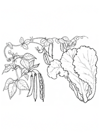 채소컬러링도안–컬러링(색칠)페이지76