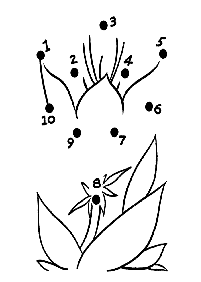 쉬운점잇기–학습지 57