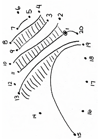 Kropka w kropkę (łatwe) – arkusz 18