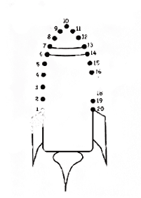 Kropka w kropkę (łatwe) – arkusz 82