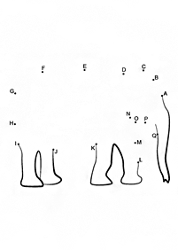 Angielski alfabet – strona 87