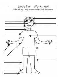 Tarefas de Inglês - ficha de exercícios 172