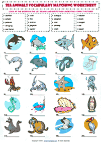 Tarefas de Inglês - ficha de exercícios 271