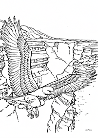 Desenhos para colorir para adultos - Páginas de colorir 65